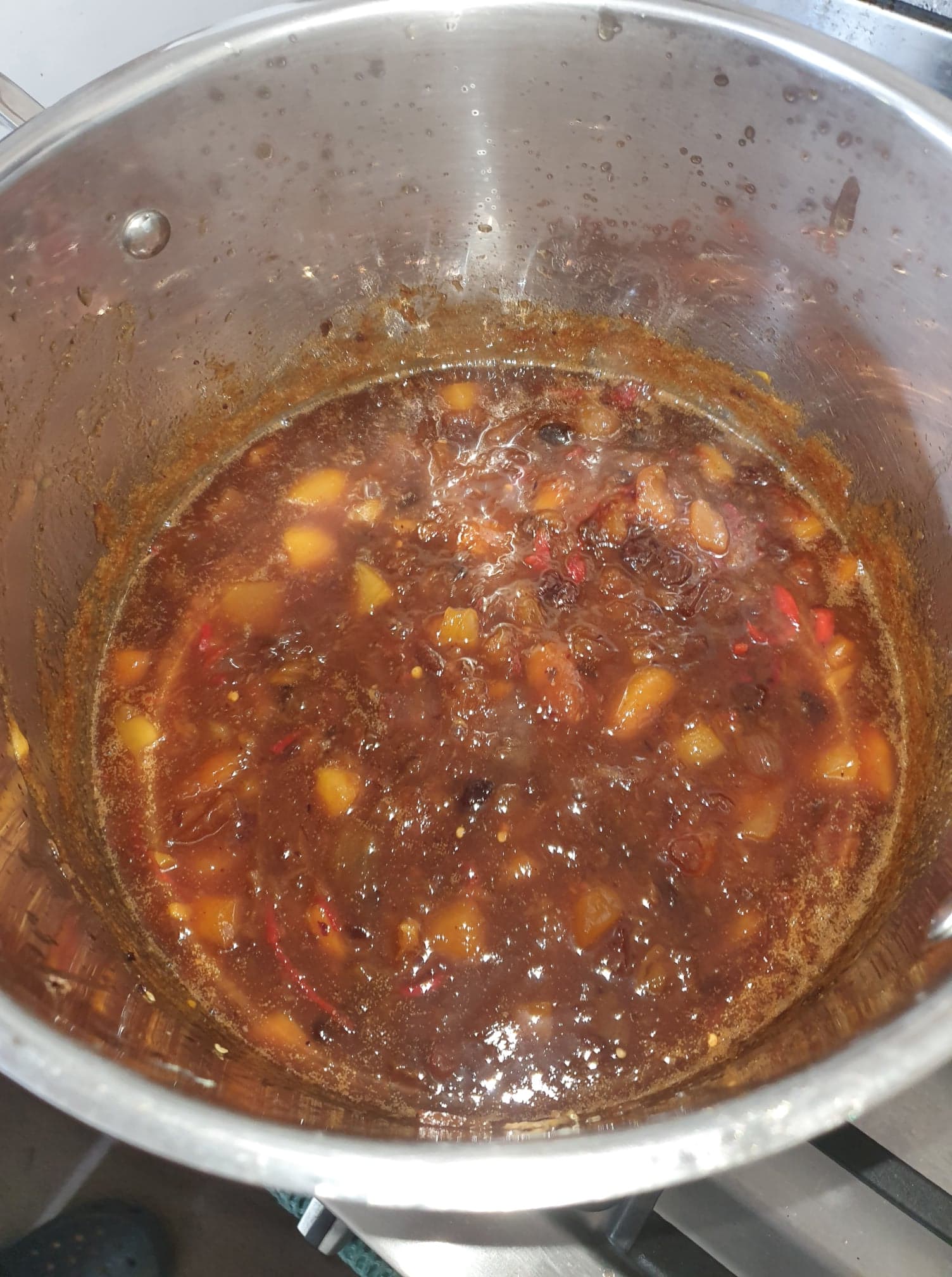 fully_cooked_chutney